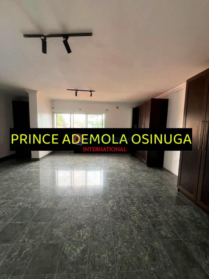 3 bedroom Flat & Apartment For Rent Old Ikoyi Lagos - 2