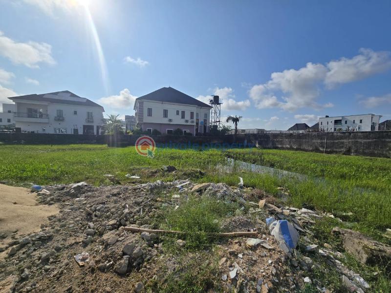 Land For Sale Lake View Park Ii Estate Lekki Lagos - 1