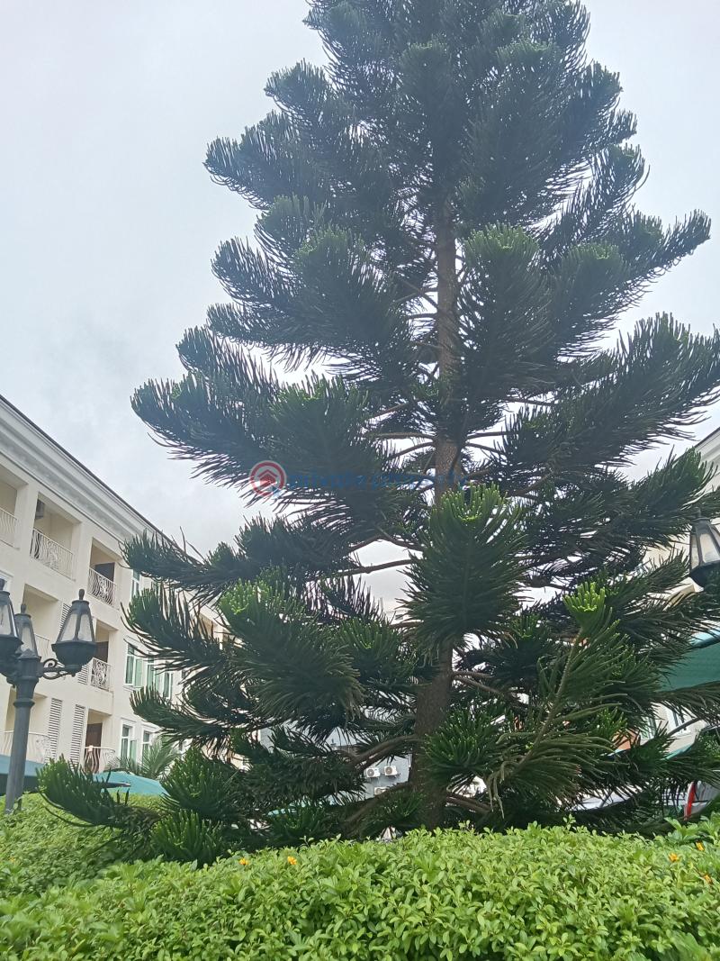 4 bedroom Terraced Duplex For Rent Park View Estate Ikoyi Parkview Estate Ikoyi Lagos - 1