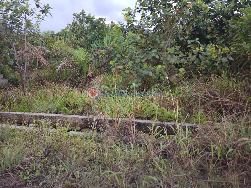 Well secured land Residential Land For Sale Lekki Schem 2 Lekki Scheme 2 Ajah Lagos