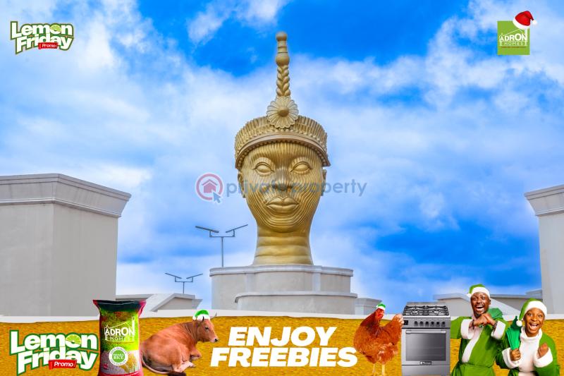 Residential Land For Sale Ayegun Oleyo / Akala Expressway/ Asipa Oluyole Estate Ibadan Oyo - 6