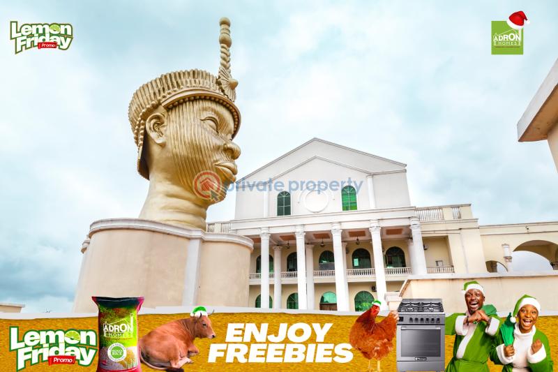 Residential Land For Sale Ayegun Oleyo / Akala Expressway/ Asipa Oluyole Estate Ibadan Oyo - 12