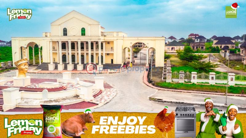 Residential Land For Sale Ayegun Oleyo / Akala Expressway/ Asipa Oluyole Estate Ibadan Oyo - 7