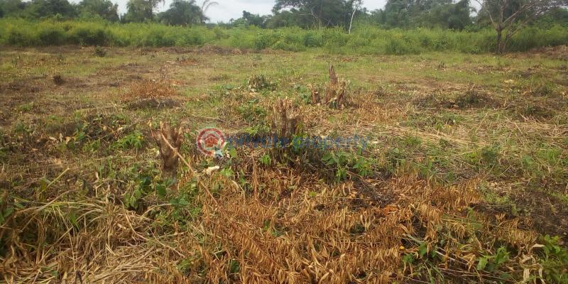 Residential Land For Sale Epe Toll Booth (gate) , The Vanguard School Acedemy, Yaba Tech University Epe, Lagos State College Of Education, Etc Epe Lagos - 7