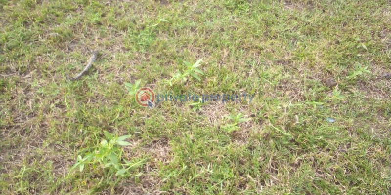 Residential Land For Sale Epe Toll Booth (gate) , The Vanguard School Acedemy, Yaba Tech University Epe, Lagos State College Of Education, Etc Epe Lagos - 2