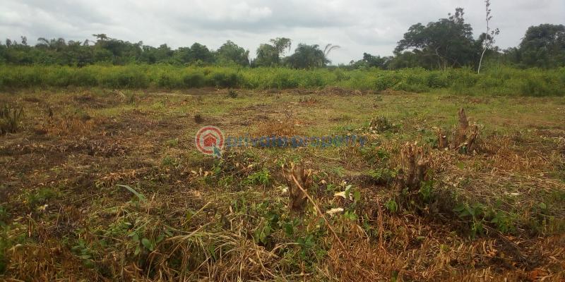 Residential Land For Sale Epe Toll Booth (gate) , The Vanguard School Acedemy, Yaba Tech University Epe, Lagos State College Of Education, Etc Epe Lagos - 4