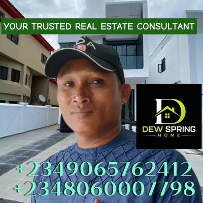 DEW SPRING HOME  LIMITED