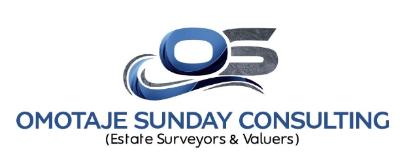 Omotaje Sunday Consulting 