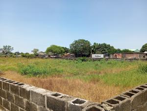Mixed use Land For Sale Just Before Eleko Junction Eleko Ibeju-Lekki Lagos