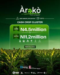 Land For Sale Aroko Farm And Resort Oyo 
