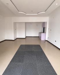 1 bedroom Mini Flat For Rent Chisco Ikate Lagos Ikate Elegushi Lekki Lagos