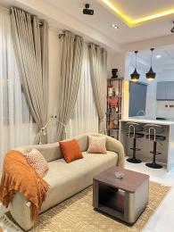 1 bedroom Flat & Apartment Short let Ikate Lekki Lagos