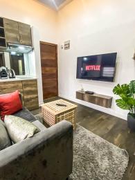 1 bedroom Flat & Apartment Short let Lekki Phase 1 Lagos