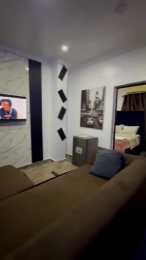 1 bedroom Flat & Apartment Short let Surulere Lagos 1 bedroom Flat & Apartment Short let Surulere Lagos