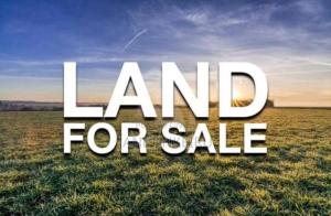 Land For Sale Ibese,yewa North Ogun State Ogun Ogun area  Land For Sale Ibese,yewa North Ogun State Ogun Ogun area