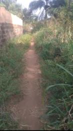 1 bedroom Residential Land For Sale Ubahaeze Orodo Mbaitoli Lga Mbaitoli Imo