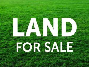 Land For Sale Akodo, Dangote Refinery Free Trade Zone Area Akodo Ise Ibeju-Lekki Lagos