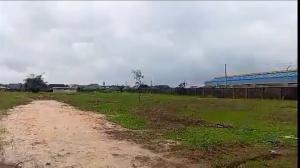 Mixed use Land For Sale Before Balm Of Gilead Worship Center , Benin City. Benin Edo