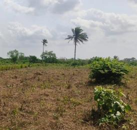 Mixed use Land For Sale Iheoma Estate Directly Facing Ubulukwu Road Asaba Asaba Delta