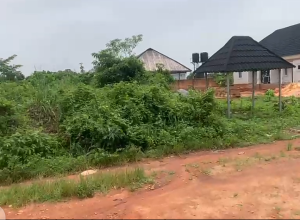 Residential Land For Sale Glo Road, Orior Ozolua Community Off Lucky Way Benin City Benin Edo