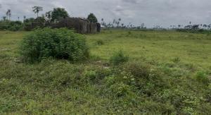 Residential Land For Sale Igwuruta, After The Igwuruta Market Port Harcourt Rivers