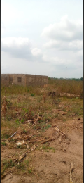 Residential Land For Sale Independent Layout Enugu Suburb Enugu Area 