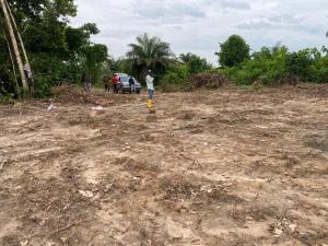 Mixed use Land For Sale Oshoroko Town Facing Coastal Road Ibeju-Lekki Lagos