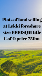 Mixed use Land For Sale Lekki Foreshore Lekki Lagos