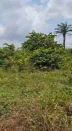 Residential Land For Sale Utesi Off Sapele Road Benin City Edo State. Benin Edo