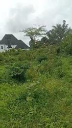 Residential Land For Sale Off Ogunwenyi Road Benin Edo