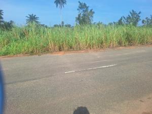 Commercial Land For Sale Benin Edo