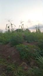 Mixed use Land For Sale Evbuekhae Community,200ft From Major Evbuekhae Road, Off Airport Road Extension, Benin Edo