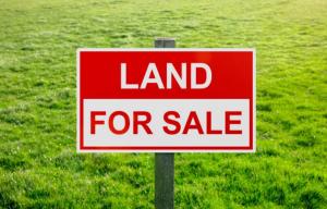 Mixed use Land For Sale Carribean Estate Sangotedo Sangotedo Ajah Lagos