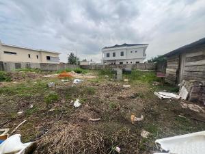 Mixed use Land For Sale Parkview Estate Ikoyi Lagos Mixed use Land For Sale Parkview Estate Ikoyi Lagos