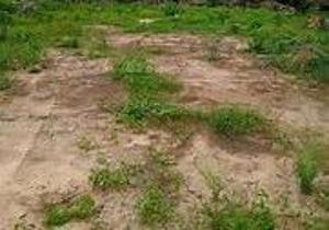 Land For Sale Banana Island, Ikoyi Lagos Land For Sale Banana Island, Ikoyi Lagos