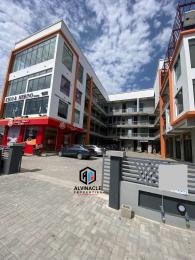 Mall/Complex/Plaza For Sale Orchid Road Lekki Expressway Lagos