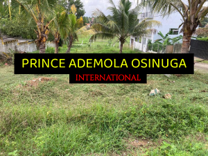 Mixed use Land For Sale Old Ikoyi Lagos Mixed use Land For Sale Old Ikoyi Lagos