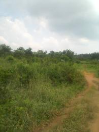 Land For Sale Igbopa London, Off Ijede Road Ikorodu Ikorodu Lagos Land For Sale Igbopa London, Off Ijede Road Ikorodu Ikorodu Lagos
