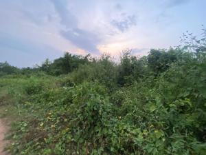 Land For Sale Elenusonso Gra Estate: Transformation Housing Estate Ibadan Oyo