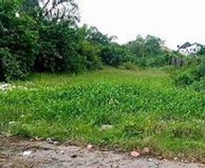 Land For Sale Banana Island, Ikoyi Lagos Land For Sale Banana Island, Ikoyi Lagos