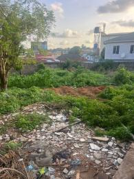 Commercial Land For Sale Olowoira Road Magodo Extension Olowora Ojodu Lagos Commercial Land For Sale Olowoira Road Magodo Extension Olowora Ojodu Lagos