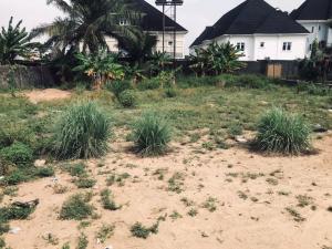 Residential Land For Sale Royal Garden Estate Ajah Lagos