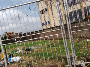 Commercial Land For Sale Akala Express Ibadan Oyo