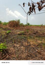 Residential Land For Sale Orinshun Lakowe Lekki Ibeju-Lekki Lagos