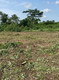 Commercial Land For Sale Alapako Village Alapakooni Obafemi Owode Ogun