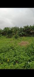 Land For Sale Very Close To Ace Mall Akobo.at Anifalaje Akobo, Ibadan. Akobo Ibadan Oyo