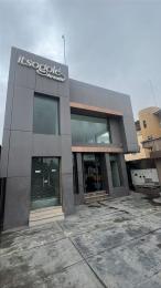Commercial Property For Rent Lekki Phase 1 Lagos