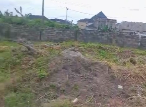 Mixed use Land For Sale Sangotedo Ajah Lagos Mixed use Land For Sale Sangotedo Ajah Lagos