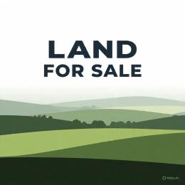 Residential Land For Sale Freedom Way Ikate Ikate Elegushi Lekki Lagos