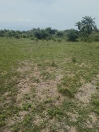 Mixed use Land For Sale Amen Est Phase 2 Okunraiye Ibeju-Lekki Lagos
